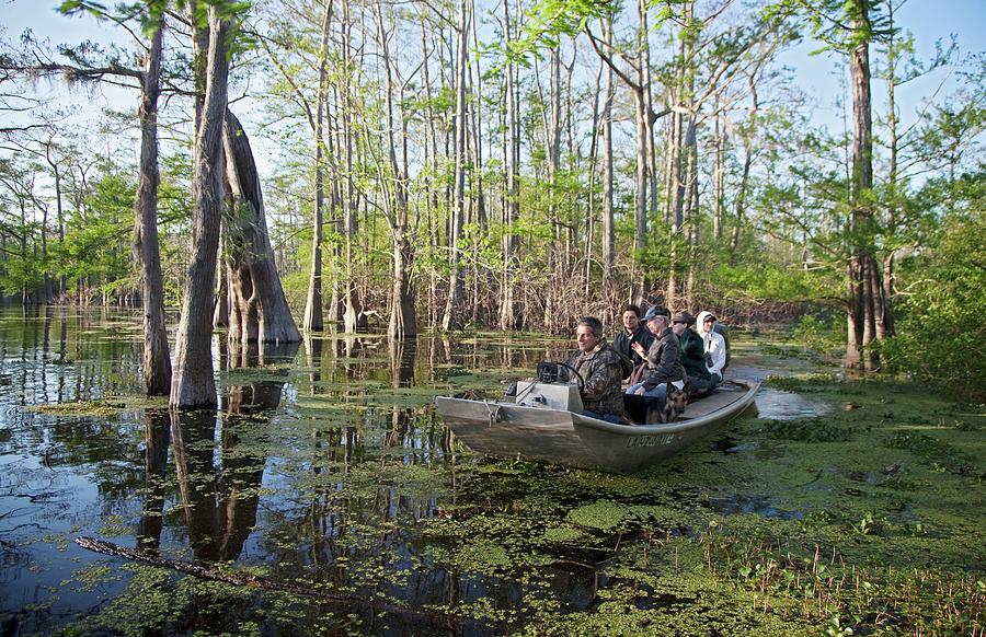 Spring Photograph - Swamp Tour by Jim West