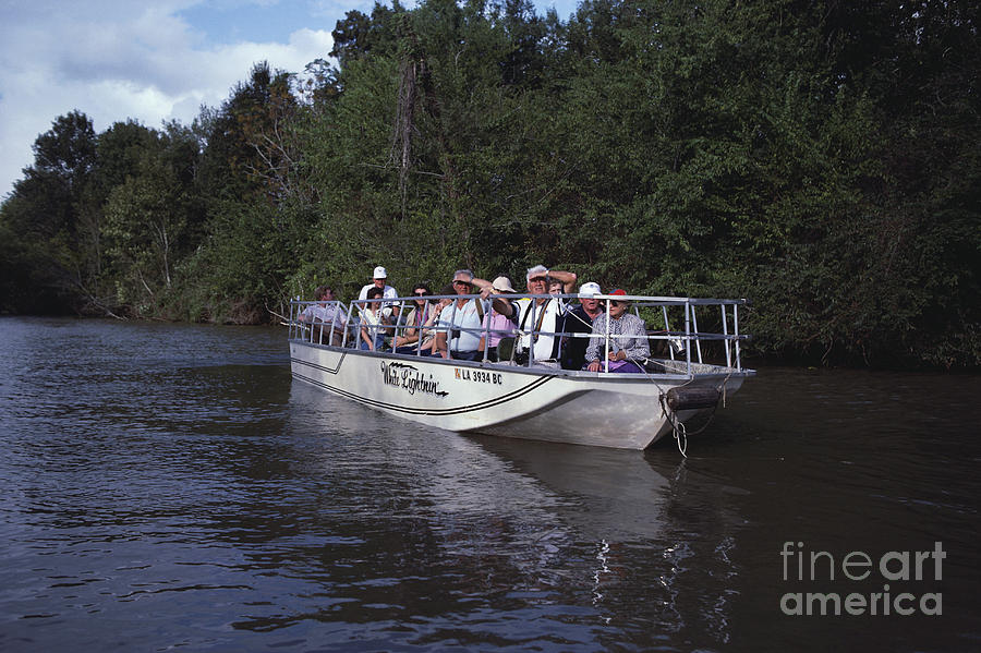 Swamp Tour, Louisiana Photograph by Van D. Bucher