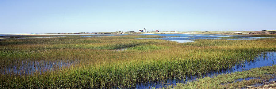 Nature Photograph - Swamp With Lighthouse by Panoramic Images