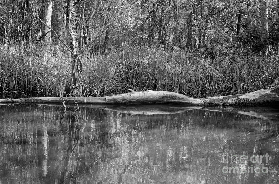 Swamped bw Photograph by Kathleen K Parker