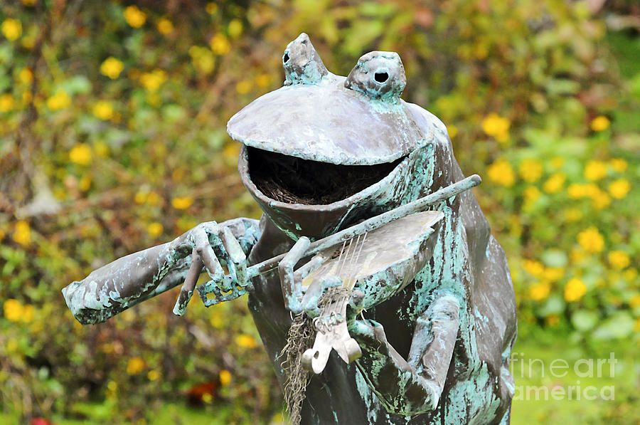 Frog Photograph - Swampland Critter Band 4 by Al Powell Photography USA