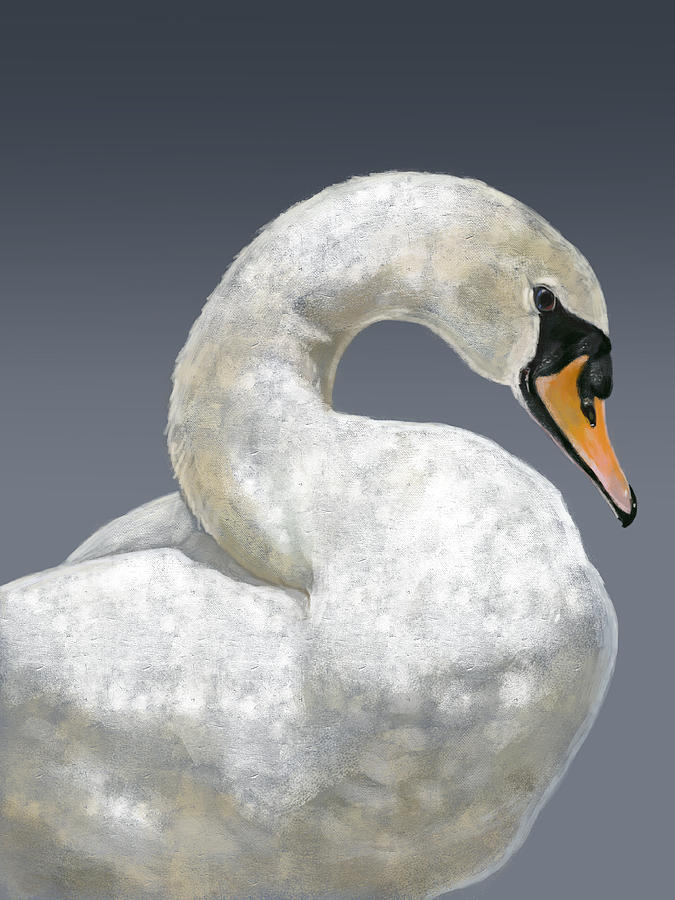 Swan Digital Art by Arie Van der Wijst