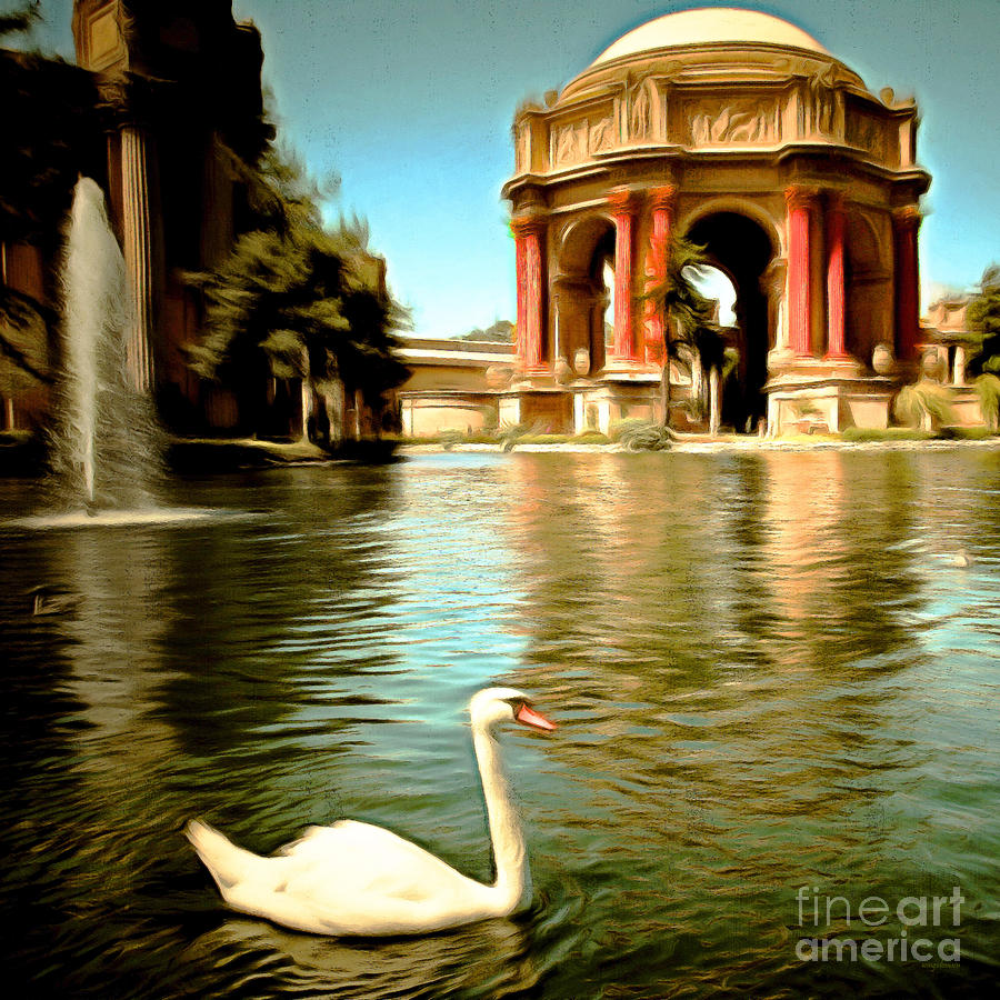 Swan at The San Francisco Palace of Fine Arts 5D18069 Square Photograph by Wingsdomain Art and Photography
