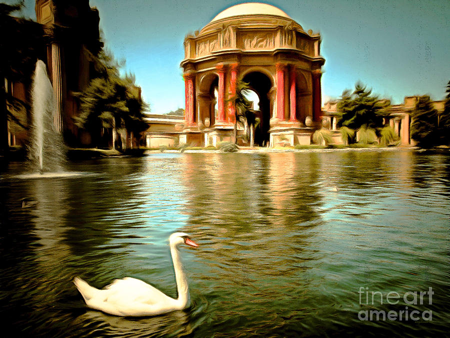 San Francisco Photograph - Swan at The San Francisco Palace of Fine Arts 5D18069 by Wingsdomain Art and Photography