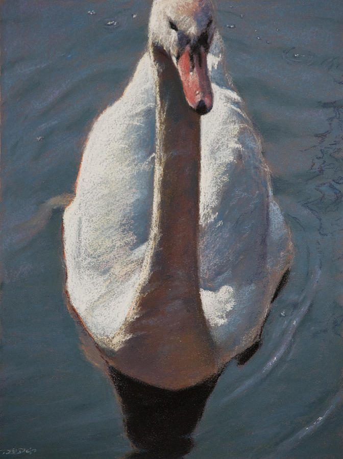 Swan Pastel by Christopher Reid