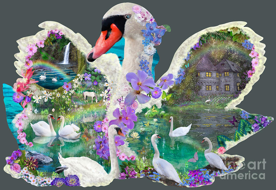 Swan Digital Art - Swan Day Dream by MGL Meiklejohn Graphics Licensing