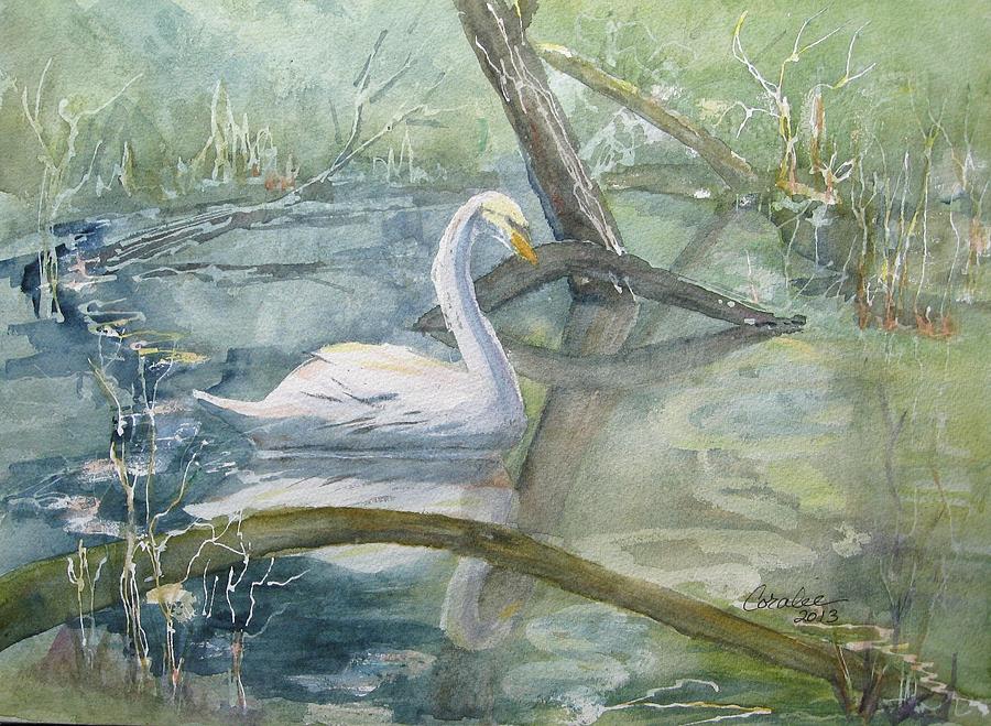 Swan In Birmingham Uk Painting by K coralee Burch