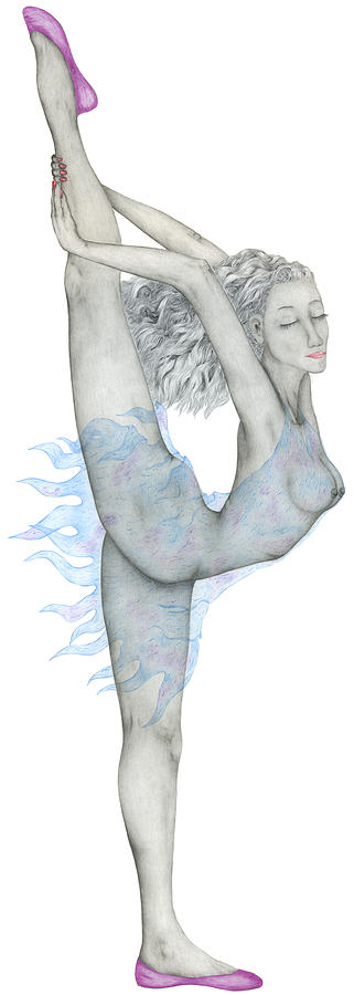 Swan. Drawing by Kenneth Clarke