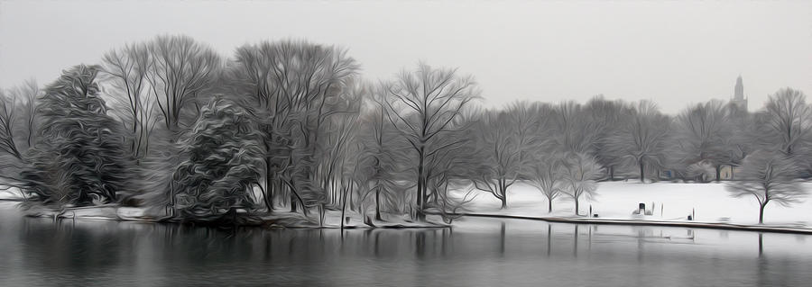 Swan Lake Digital Art by Kelvin Booker