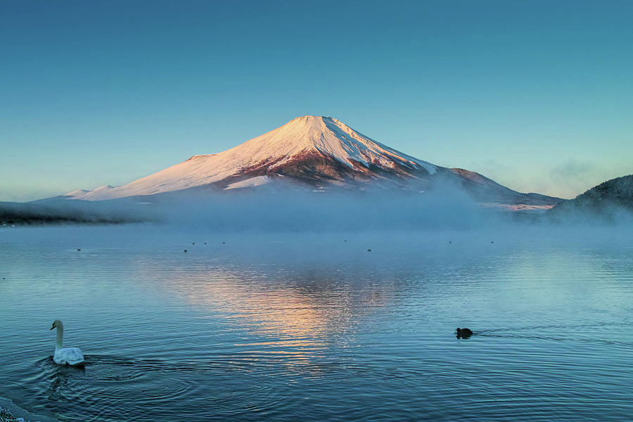 Swan Lake Lake Yamanaka And Fuji Photograph by I Love Photo And Apple.