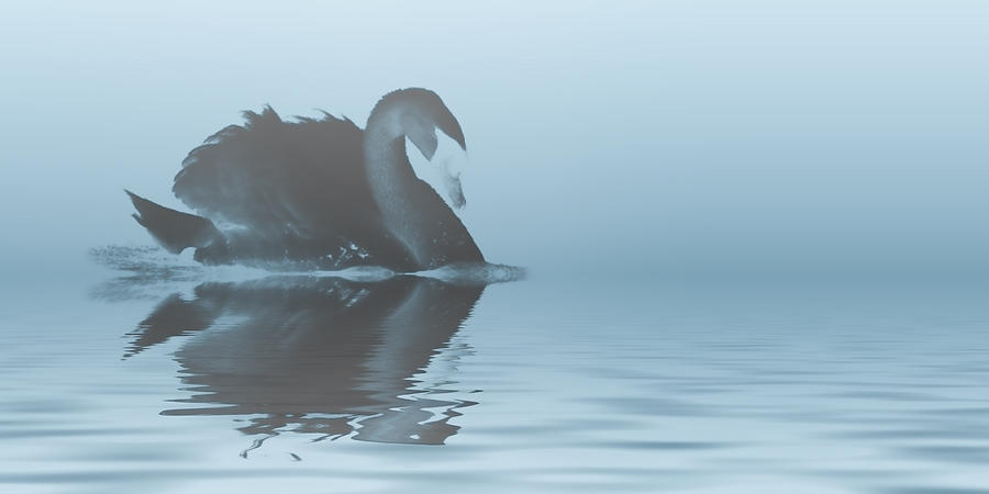 Swan Digital Art - Swan Lake by Sharon Lisa Clarke