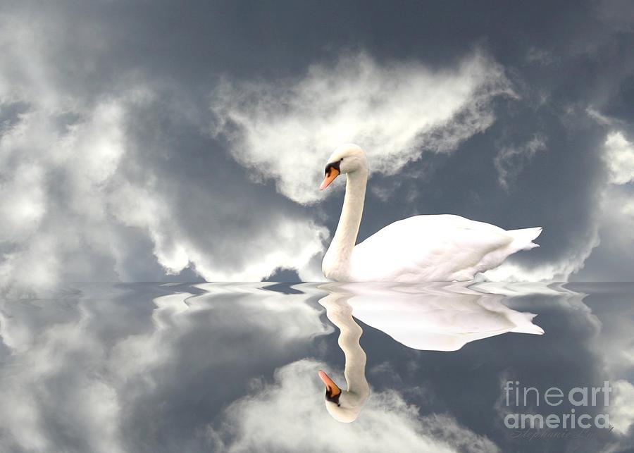 Swan Lake Photograph by Stephanie Laird