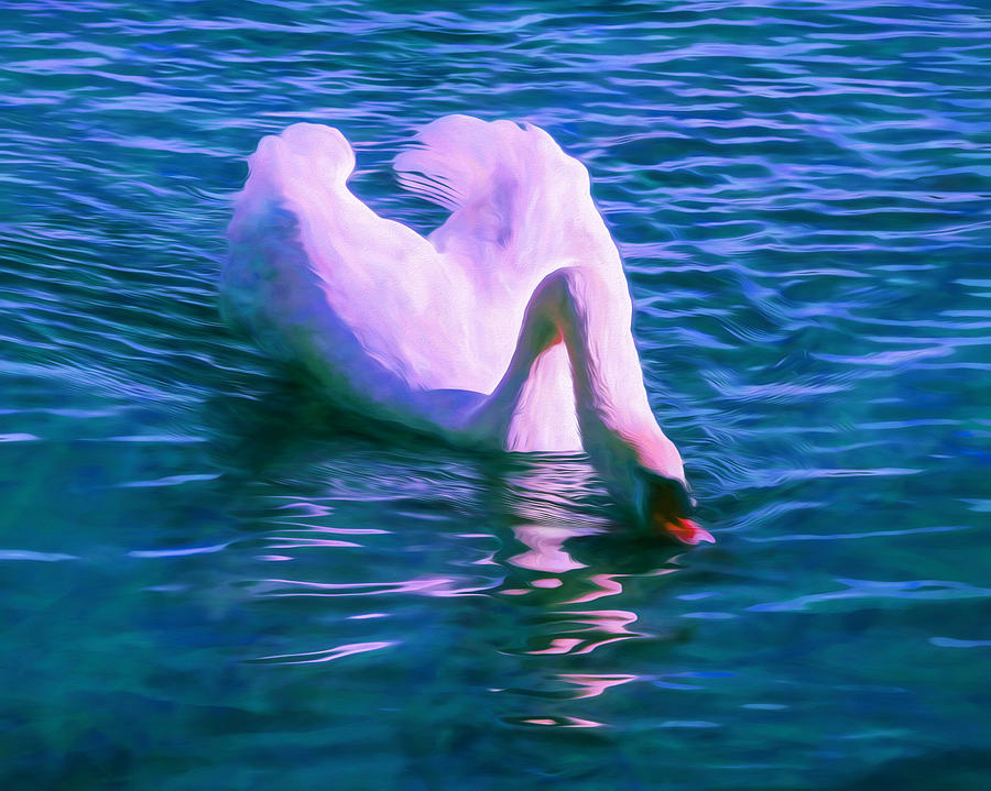 Swan Quench Art Mixed Media by Priya Ghose