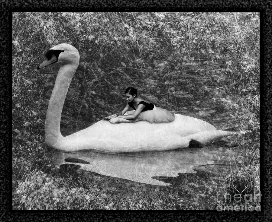 Swan Ride Digital Art by Dale Crum
