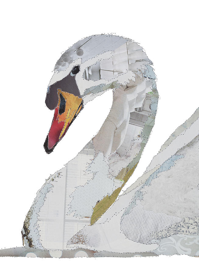Swan Painting by MGL Meiklejohn Graphics Licensing