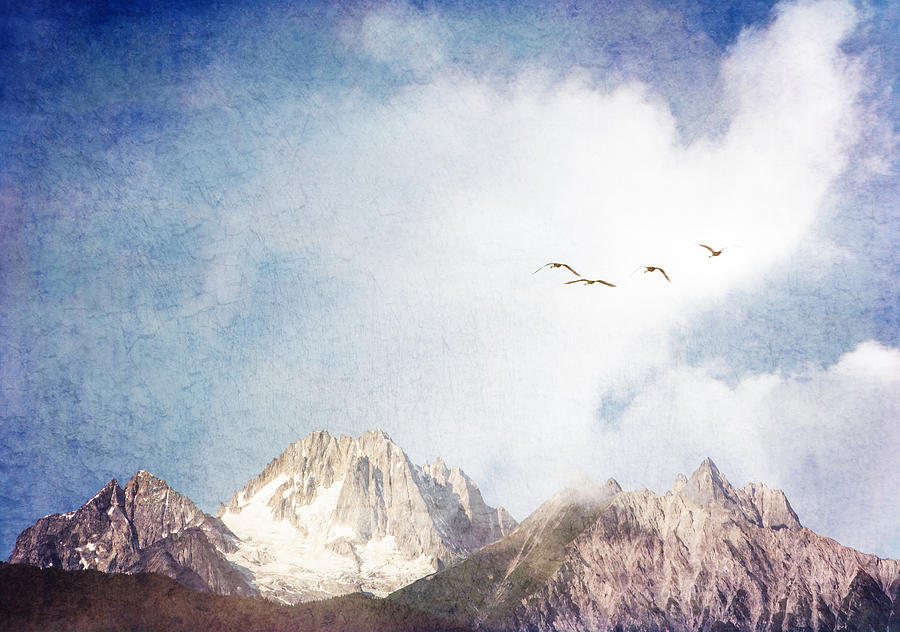 Swans and Mountains Photograph by Michele Cornelius