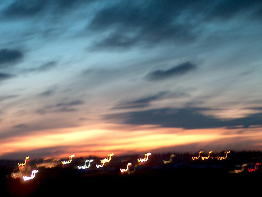 Sunset Photograph - Swans of Light by Arie Arik Chen