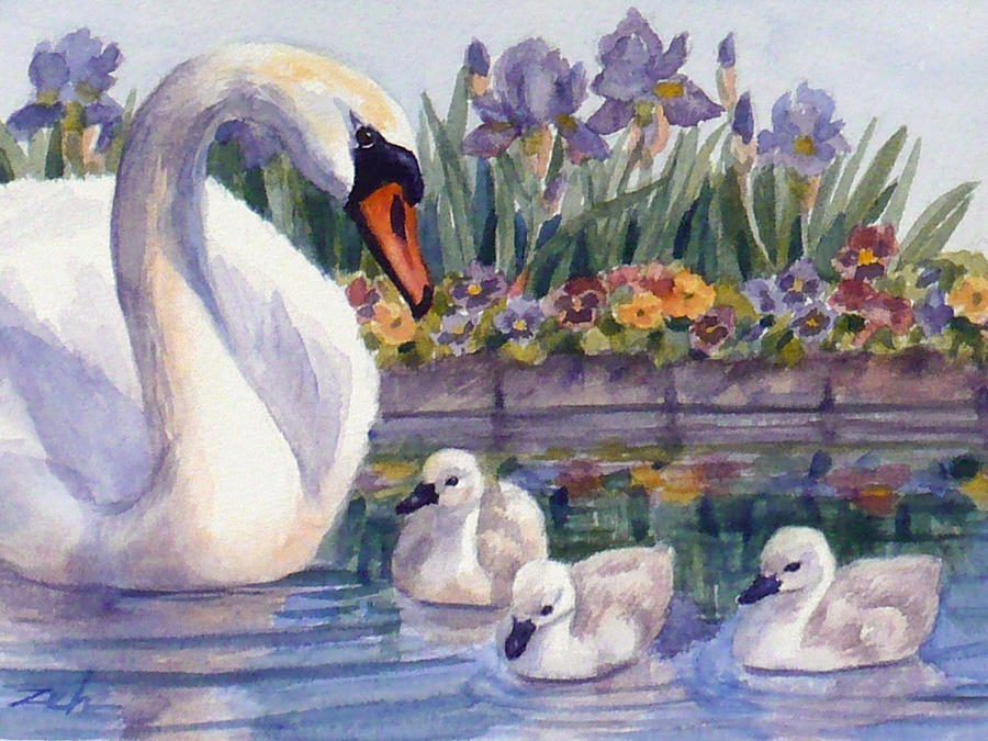 Mother Swan and Cygnets Painting by Janet Zeh