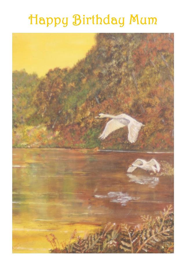 Swans right birthday card for Mum Painting by David Capon