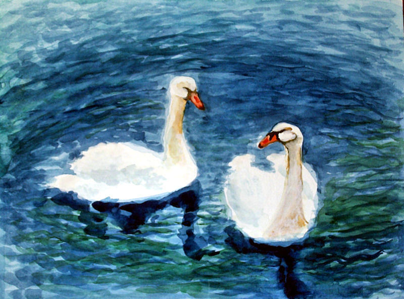 Swans Painting by Siona Koubek - Fine Art America