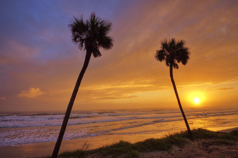 Swaying Palms at Sunrise Photograph by Danny Mongosa