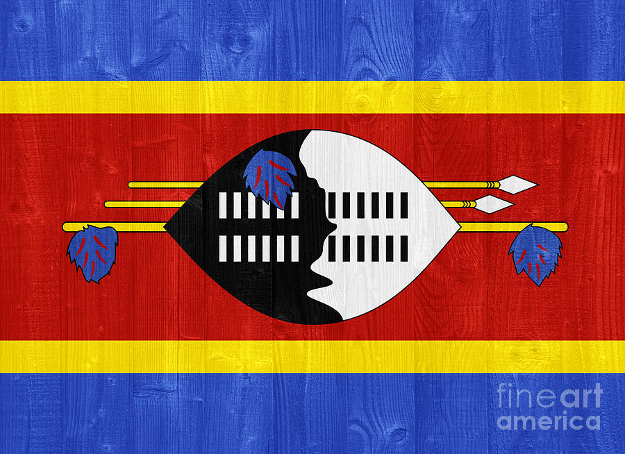 Sports Photograph - Swaziland flag by Luis Alvarenga