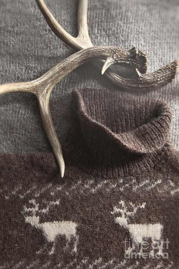 Sweater with deer antlers with rustic look Photograph by Sandra Cunningham