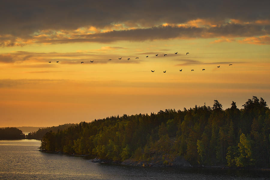 Sweden Shoreline MG_4082 Photograph by David Orias