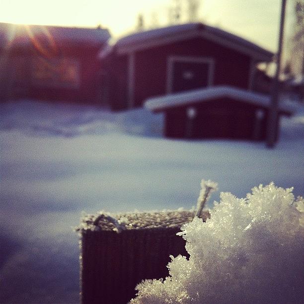 Beautiful Photograph - #sweden #snow #skärplinge #cold #ice by Andrea Romero