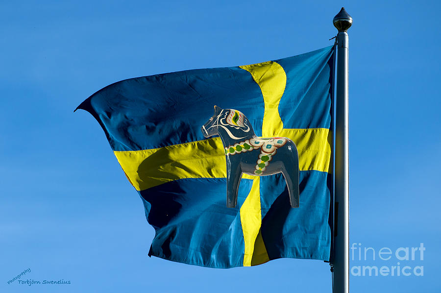 Sweden two symbols Photograph by Torbjorn Swenelius