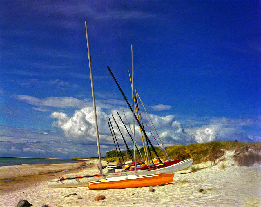 Swedish Boats on the Beach Photograph by Carl Cox