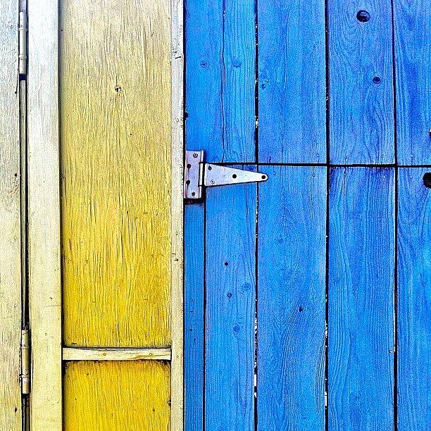 Sanfrancisco Photograph - Swedish Colors  by Julie Gebhardt
