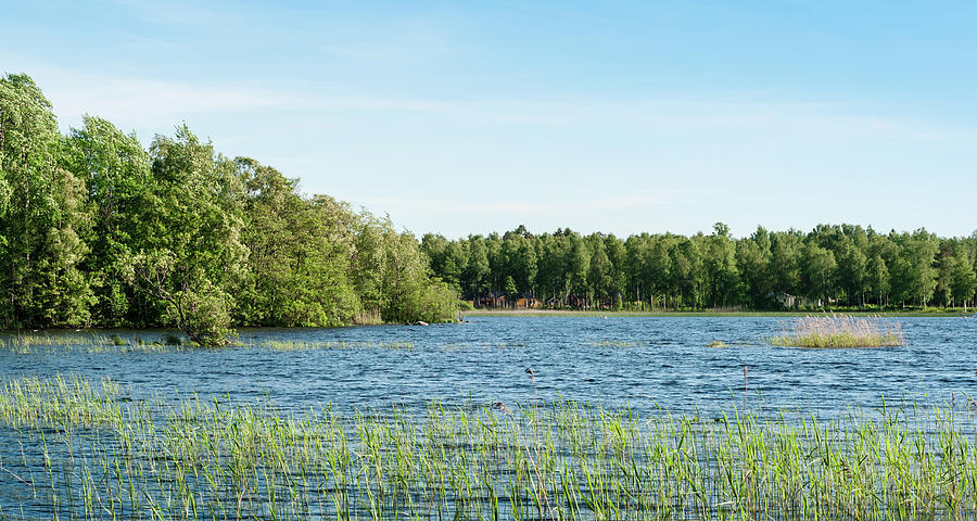 Swedish Lake Panorama During Summer Photograph by Bosca78 - Fine Art ...