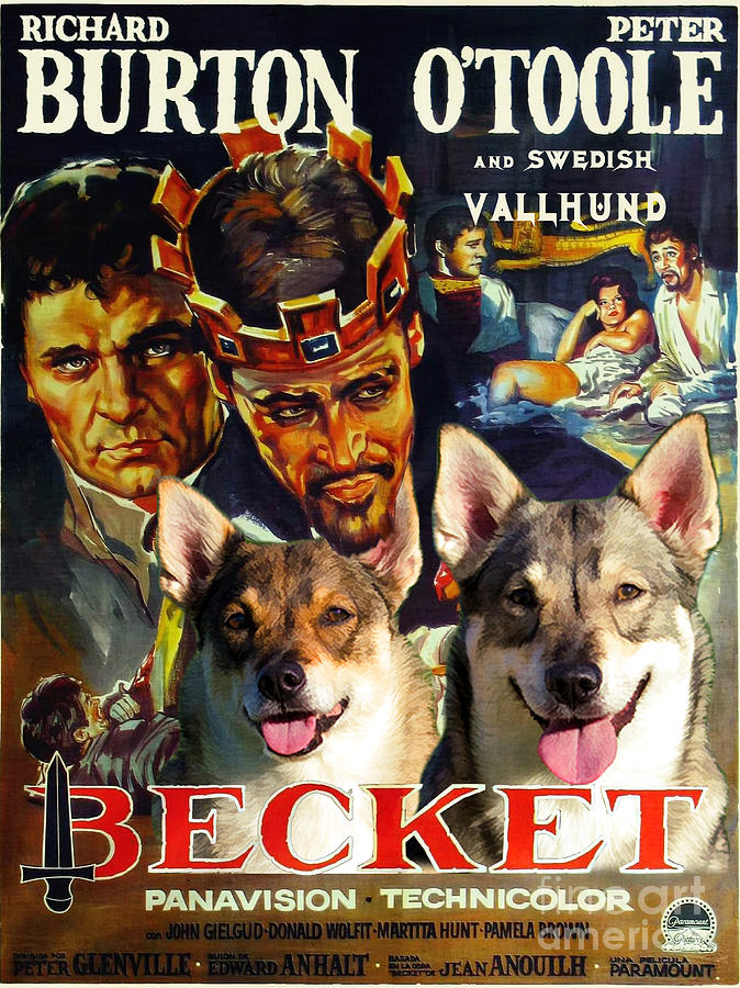 Swedish Vallhund - Vastgotaspets  Art Canvas Print - Becket Movie Poster Painting by Sandra Sij