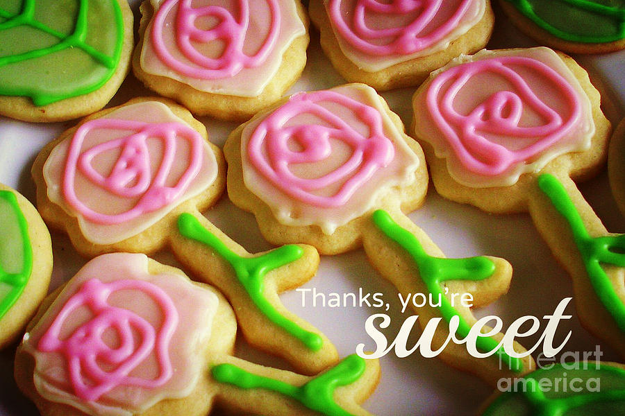 Sweet as Cookies Photograph by Valerie Reeves