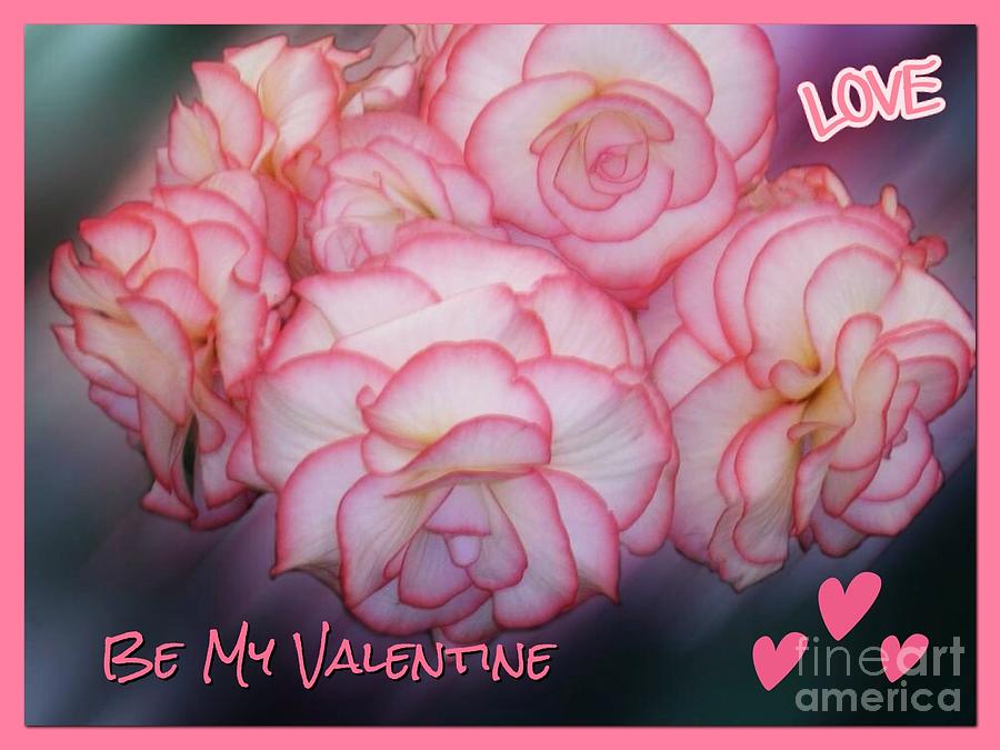 Sweet Begonia Valentine Photograph by Joan-Violet Stretch