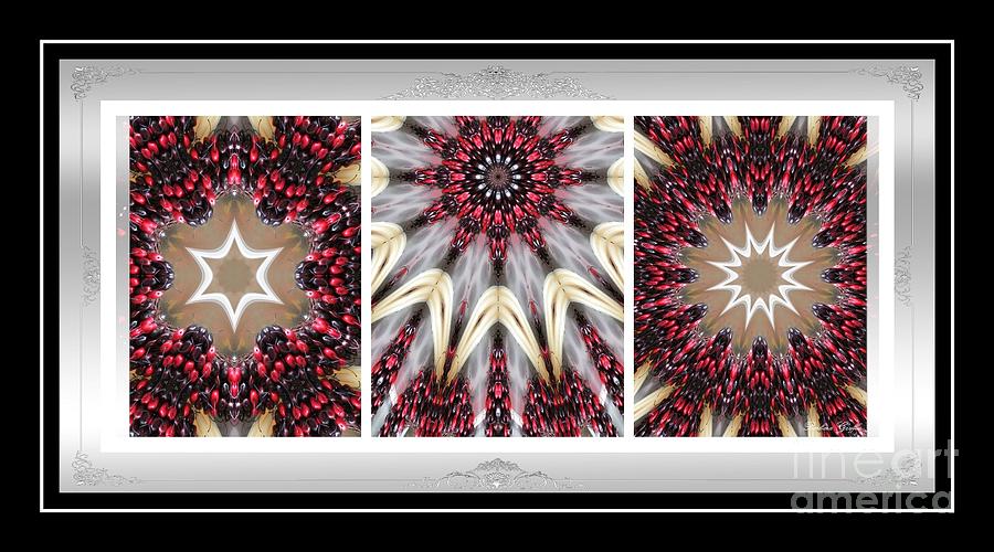Fantasy Photograph - Sweet Cherry Supreme - Triptych - Dining Art by Barbara A Griffin