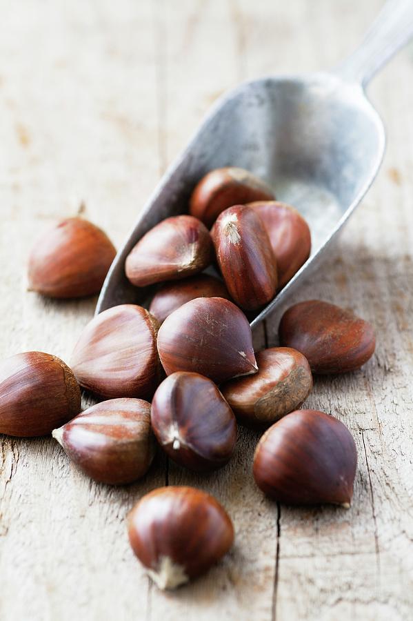 Sweet Chestnuts Photograph by Science Photo Library Sweet Chestnuts Photograph by Science Photo Library