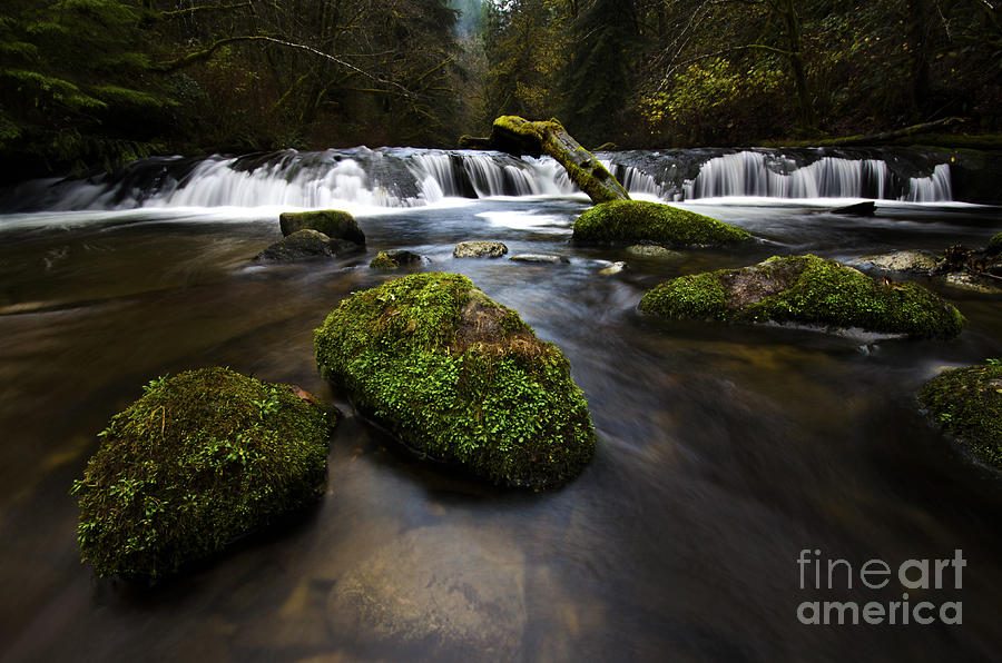Waterfall Photograph - Sweet Creek Oregon 10 by Bob Christopher