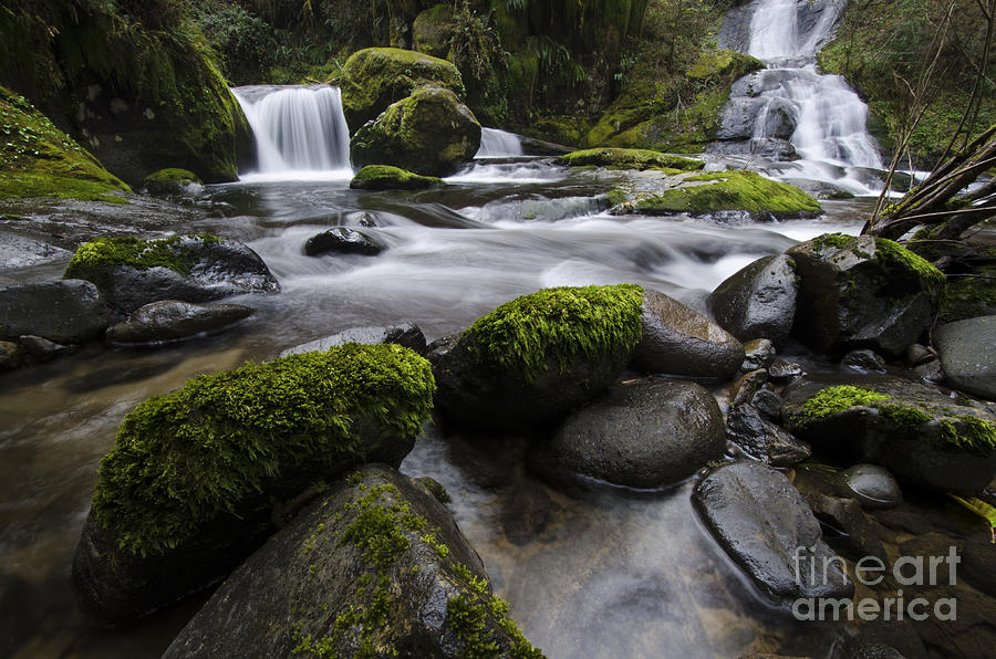 Waterfall Photograph - Sweet Creek Oregon 4 by Bob Christopher