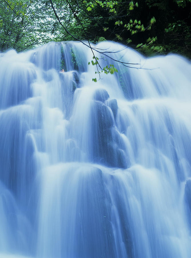 Sweet Creek Waterfalls Along The Hiking Photograph by Robert L. Potts