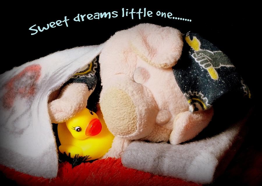 Sweet Dreams Little One Photograph by Piggy           