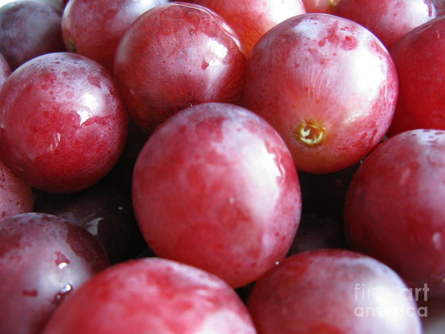 Grape Photograph - Sweet Grapes. Photo #01 by Ausra Huntington nee Paulauskaite