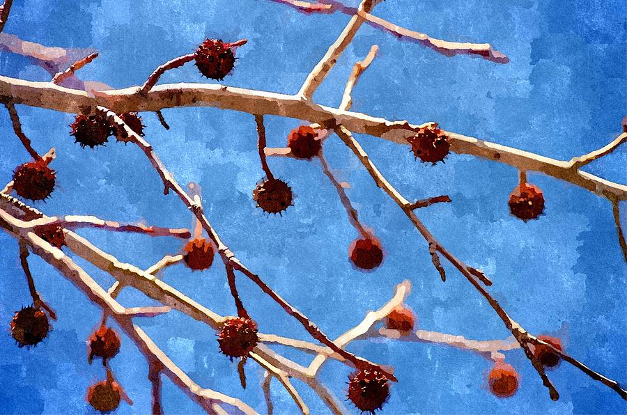 Sweet Gum Fruit Painting by Duende Artworks