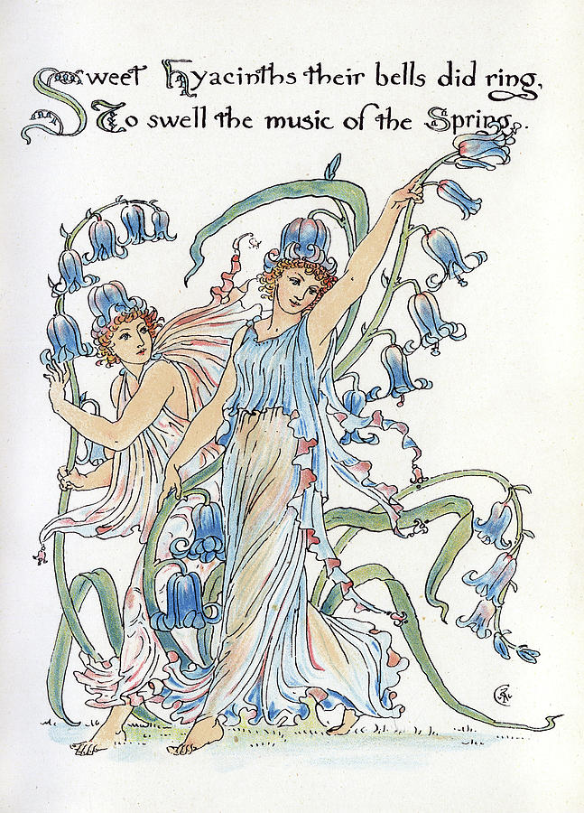 Flower Drawing - Sweet Hyacinths Their Bells Did Ring by Mary Evans Picture Library