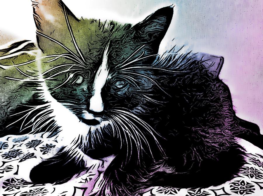 Animal Digital Art - Sweet Kitty. by Genna Steele