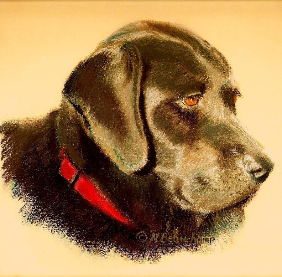 Sweet Labrador Pastel by Nancy Beauchamp