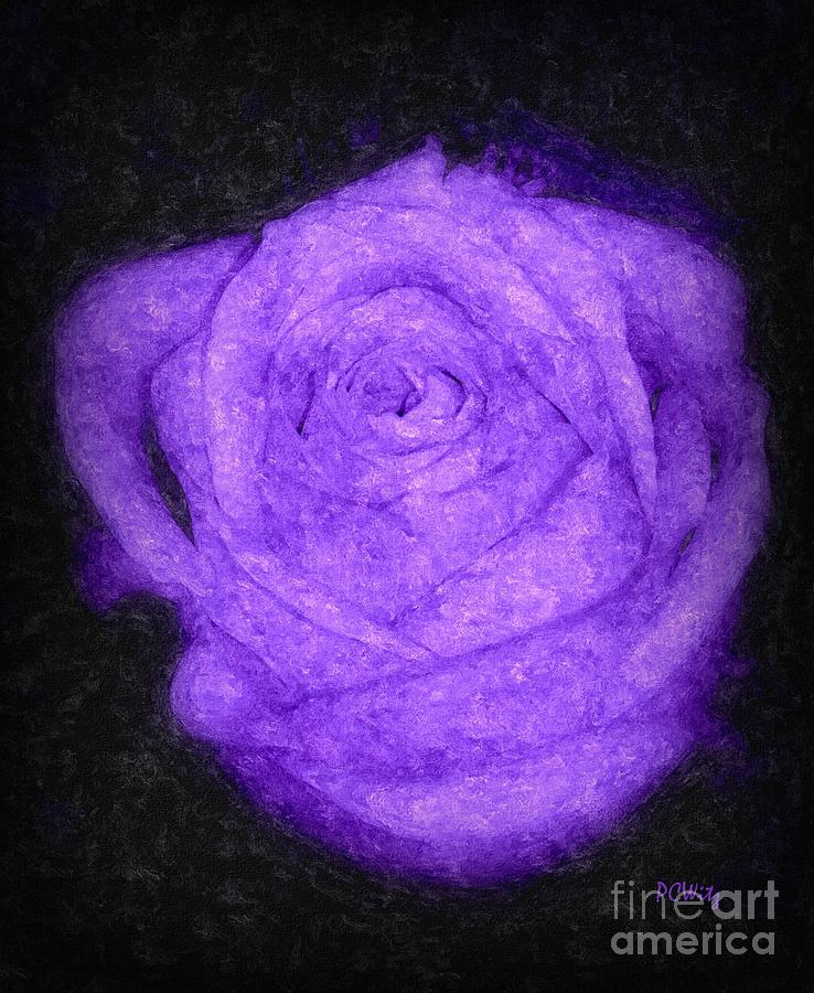 Sweet Lavender Rose Photograph by Patrick Witz