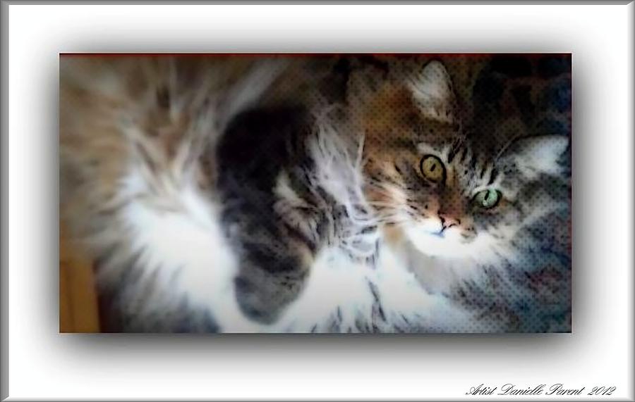 Animal Photograph - Sweet Molly by Danielle  Parent