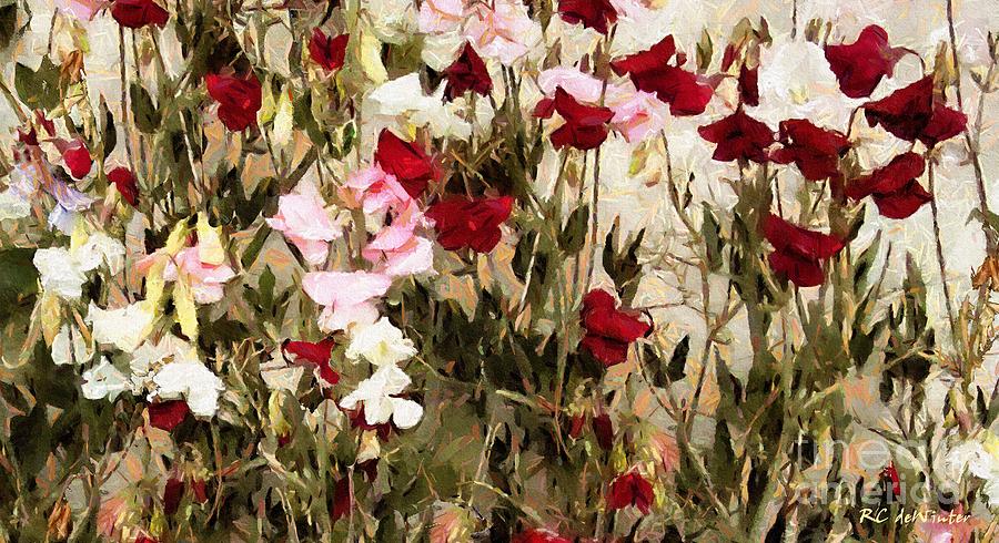 Flower Painting - Sweet Pea Swath by RC DeWinter